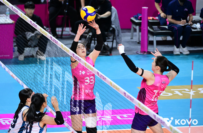 토스 올리는 이나연. 한국배구연맹