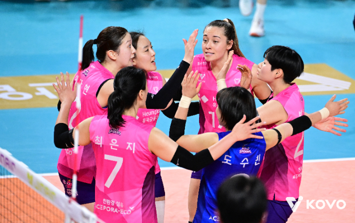 2위로 올라선 흥국생명. 한국배구연맹