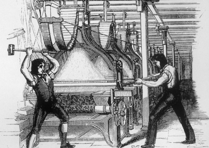 온라인커뮤니티 캡처