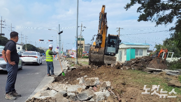 2022년 9월 제성마을. 수령 40년 된 벚나무를 베어버리고 없다. 이창준 기자
