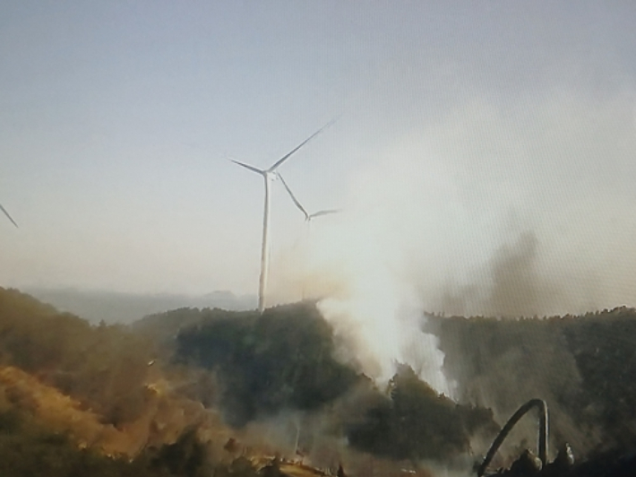 27일 오후 1시 20분쯤 전남 완도군 신지면 월양리 한 야산에 불이 난 모습. 전남소방본부 제공