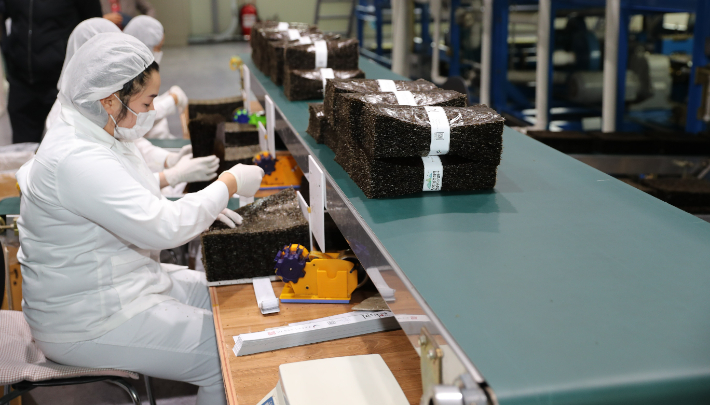 김 가공. 전라남도 제공