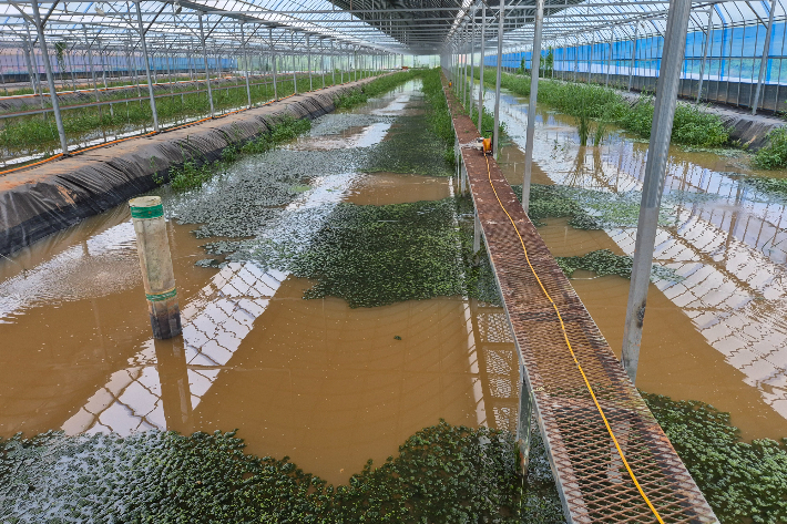 전북수산기술연구소 어업기술센터에 있는 친환경 토하 양식장. 전북도 제공