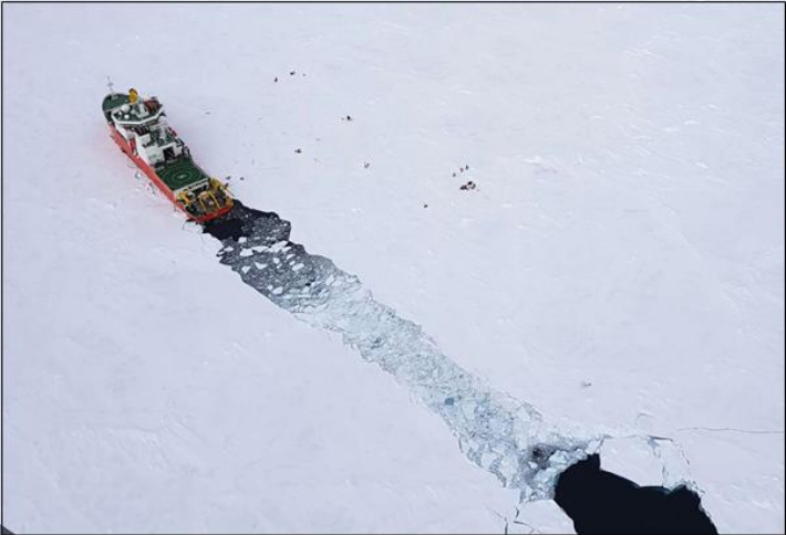 북극항해. 극지연구소 제공