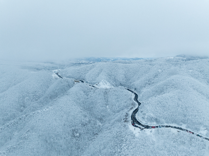 설경이 장관을 이루고 있는 대관령 옛길. 강릉시 제공