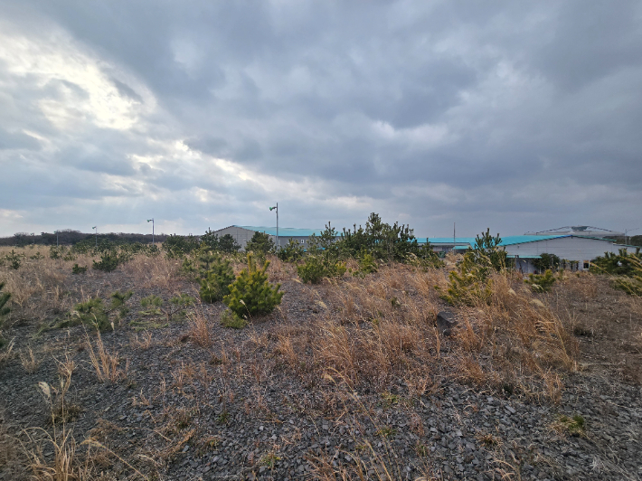 제주신화월드내 대형마트 부지. 박정섭 기자