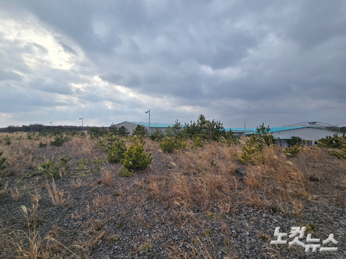 제주신화월드내 대형마트 부지. 박정섭 기자