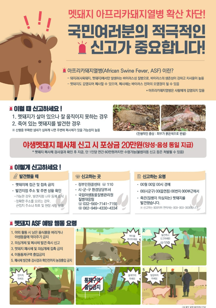 멧돼지 아프리카돼지열병 확산 차단 포스터. 전라남도 제공