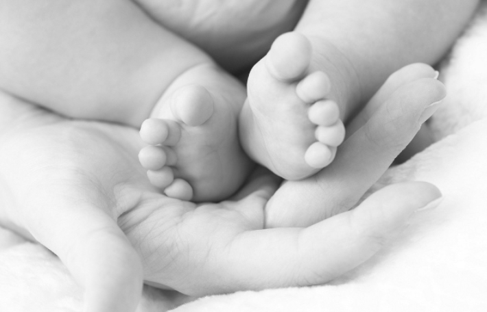 스마트이미지 제공