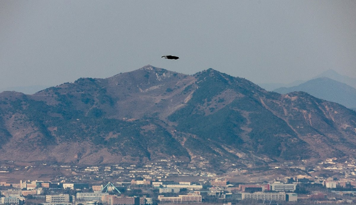 11일 경기도 파주시 접경지역에서 바라본 비무장지대(DMZ) 상공에서 독수리가 남북을 가르며 비행하고 있다. 연합뉴스