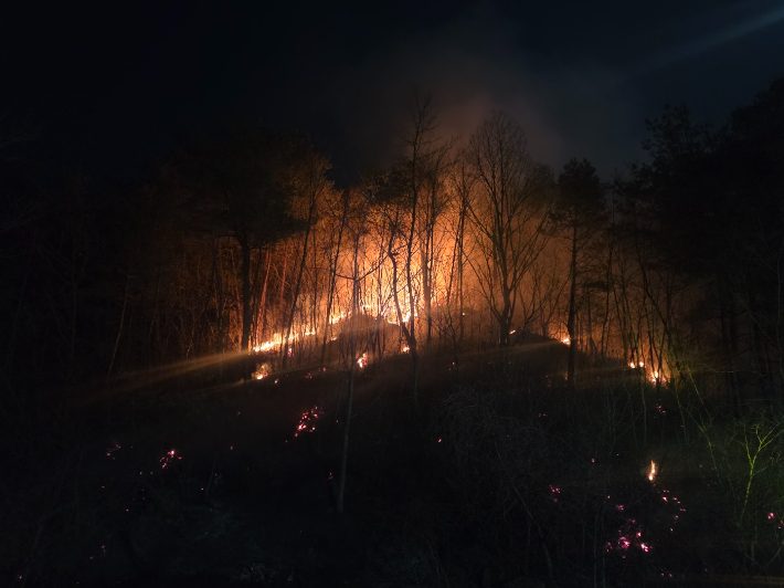 1일 오후 8시 3분쯤 강원 동해시 달방동 인근에서 산불이 발생해 1시간여 만에 진화됐다. 강원특별자치도 산불방지대책본부 제공 
