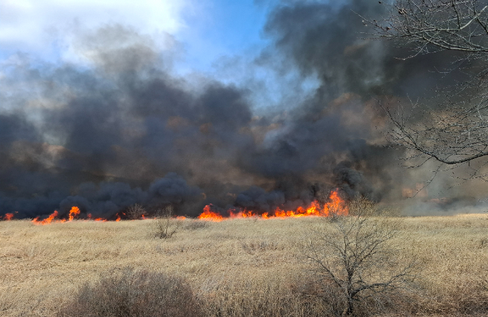 창원소방본부 제공 