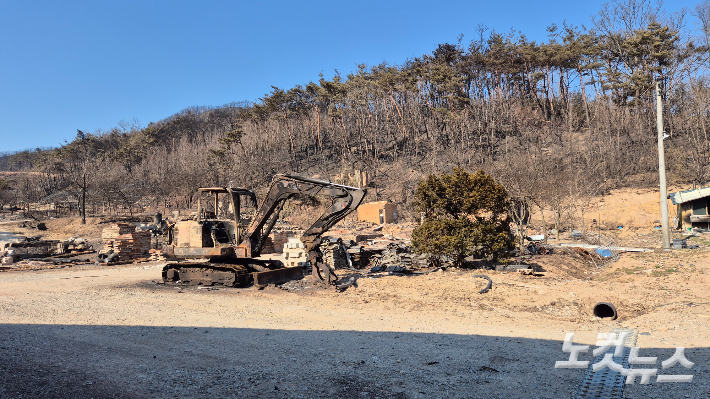 지난해 3월 경북 산불 화마가 휩쓸고 지나간 뒤 경북 안동시 임하면 신덕1리의 야산. 곽재화 기자