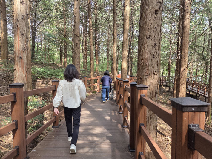 전주 건지산 일원에 조성된 무장애 나눔길. 전주시 제공