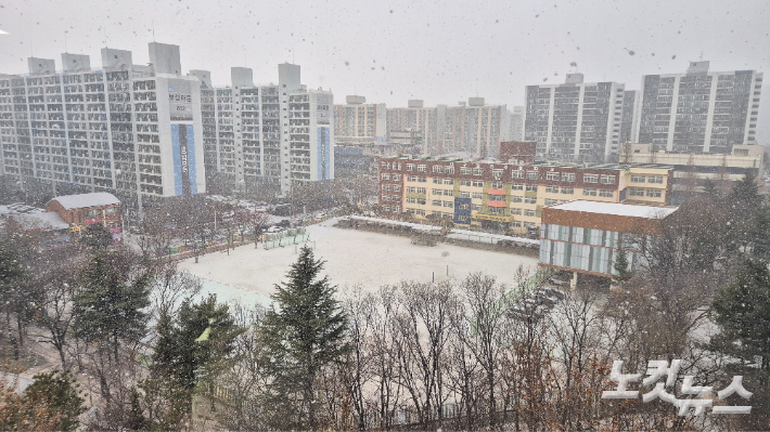 2일 대구에 1.7cm의 눈이 내렸다. 정진원 기자