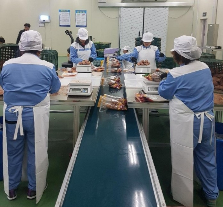 학교급식 공급 친환경 농산물 소포장. 전라남도 제공