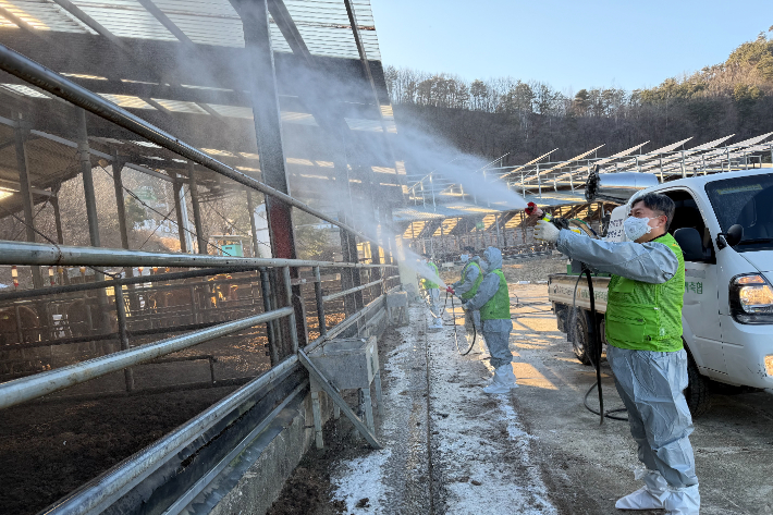 농협중앙회 강원본부는 3일 동해삼척태백축산농협 생축장을 방문해 동절기 가축 질병 차단방역을 위한 현장 점검을 실시했다.