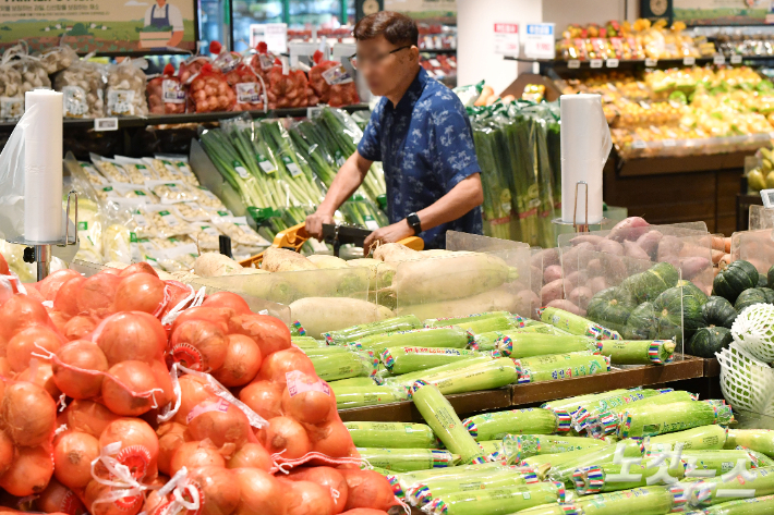 서울의 한 대형마트를 찾은 시민들이 장을 보고 있다. 류영주 기자