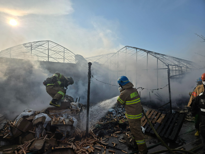 4일 오전 8시 40분쯤 부산 강서구의 한 비닐하우스 농막에서 불이 나 70대 남성이 숨졌다. 부산소방재난본부 제공
