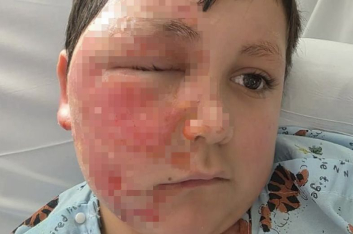 온라인커뮤니티 캡처