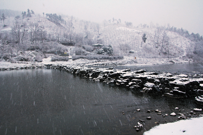 농다리 전경. 진천군 제공