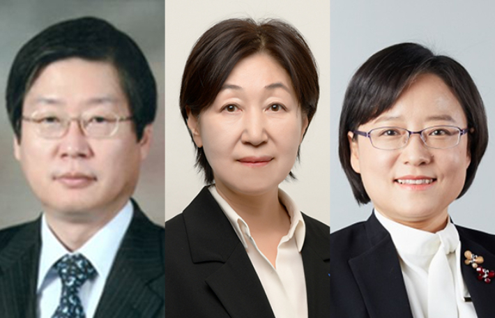 (왼쪽부터)오영근 한양대 법학전문대학원 명예교수, 김학자 변호사, 조숙현 변호사. 인권위 제공