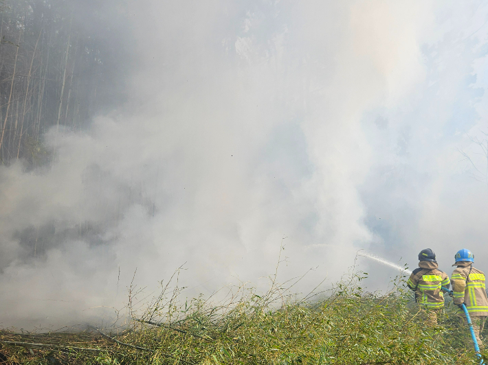 6일 부산 기장군 장안읍 오리 인근 야산에서 불이 나 1시간여 만에 꺼졌다. 부산소방재난본부 제공 
