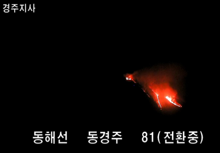 경주 산불 모습. 경북소방본부 제공