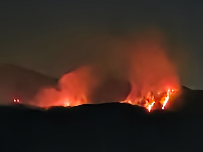 경주 산불. 독자 제공