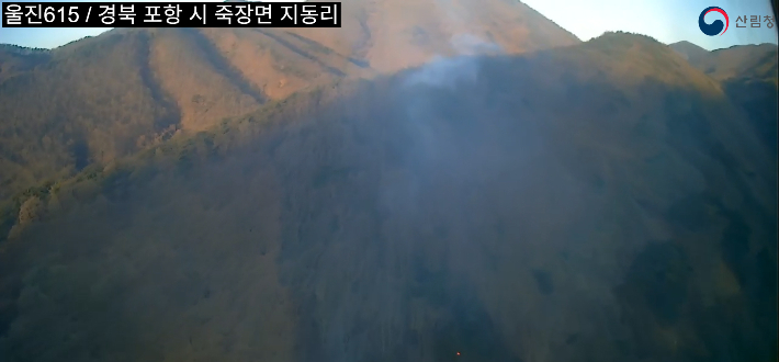 포항 산불. 산림청 제공