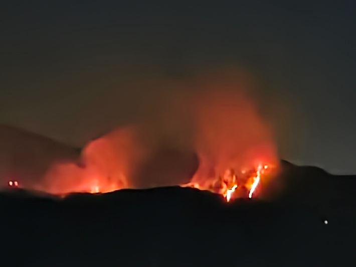 경주 문무대왕면 산불. 독자 제공