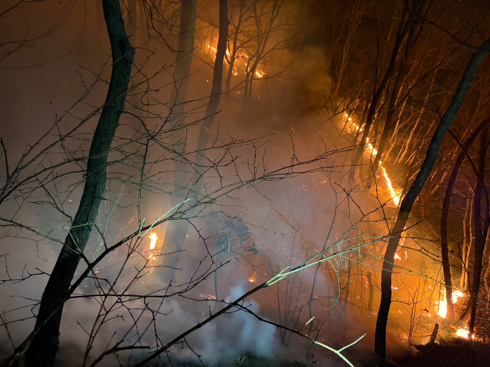 경주 문무대왕면 산불. 경북소방본부 제공