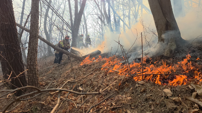 경주 문무대왕면 산불. 경북소방본부 제공