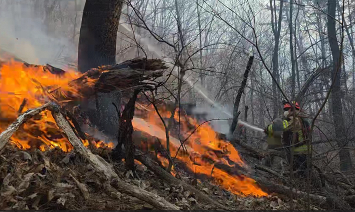 8일 경북 경주시 문무대왕면 입천리에서 소방대원들이 전날부터 이어진 산불을 진화하고 있다. 경북소방본부 제공