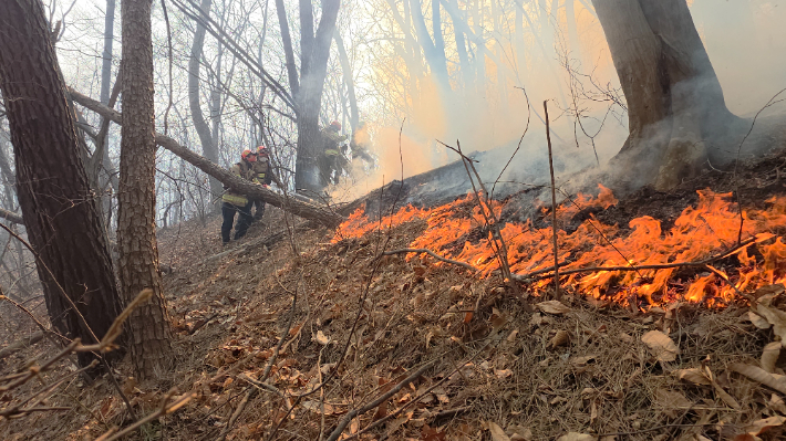 소방관들이 경주 문무대왕면 산불을 진화하고 있다. 경북소방본부 제공