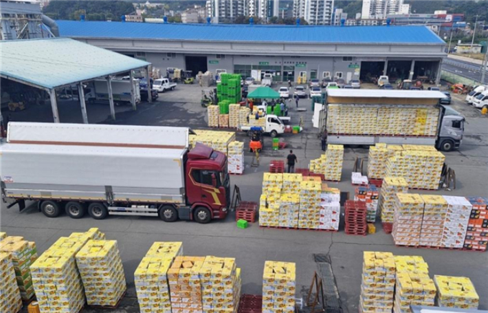 출하 유통 상차 전경. 창원시 제공 