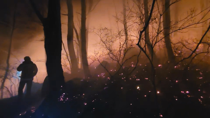 부산 쇠미산 산불 현장. 부산소방재난본부 제공