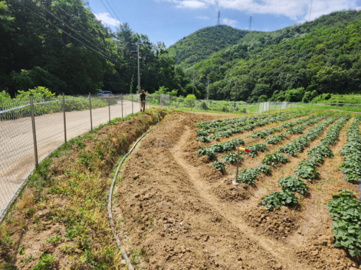포항시 북구청 제공