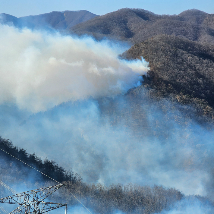 경주 문무대왕면 산불. 사진 아래에 송전탑이 보인다. 경북소방본부 제공