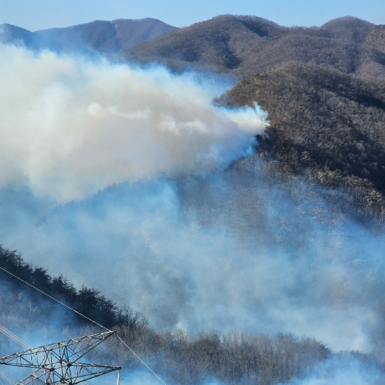 경주 문무대왕면 산불. 사진 아래에 송전탑이 보인다. 경북소방본부 제공