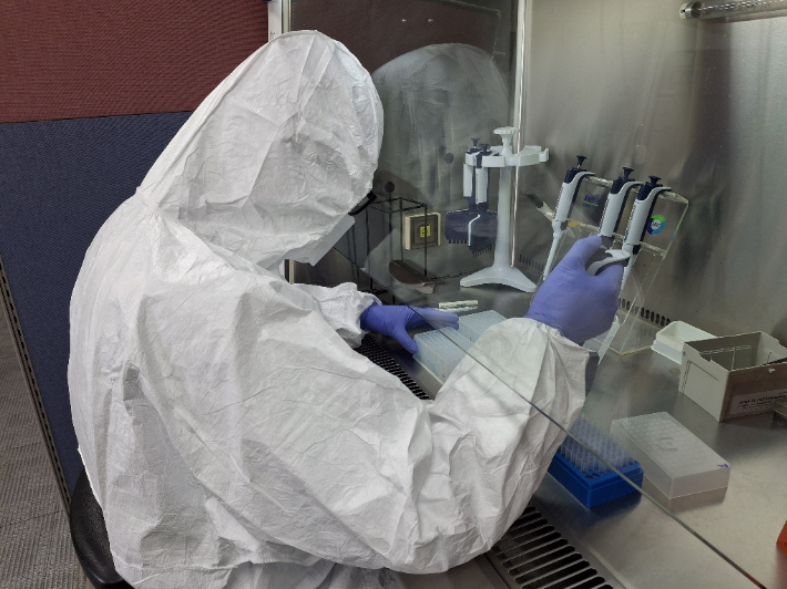 전라남도 동물위생시험소의 가축 전염병 검진 모습. 전라남도 제공