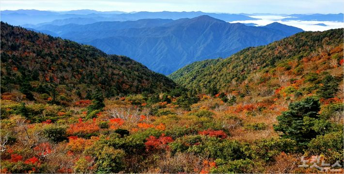 설악산 단풍. 설악산국립공원사무소 제공