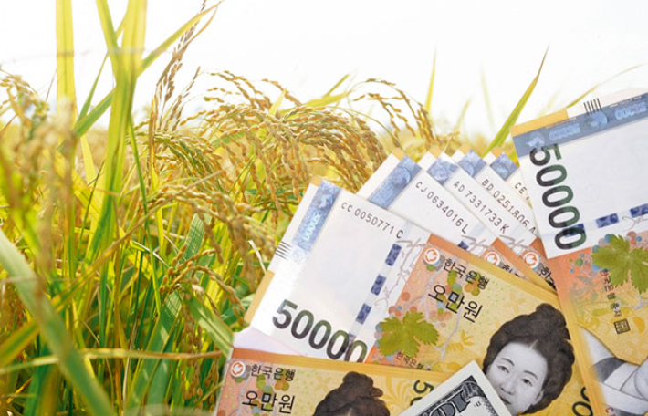 스마트이미지 제공