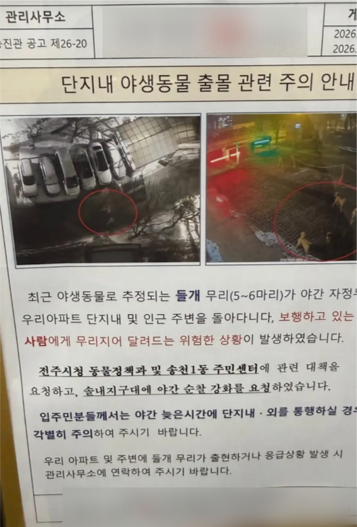 전주 송천동 한 아파트에 붙은 '야생 들개 무리 출몰' 주의 안내문. 독자 제공