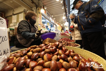 설 연휴를 앞둔 11일 서울 동대문구 청량리종합시장을 찾은 시민들이 장을 보고 있다.