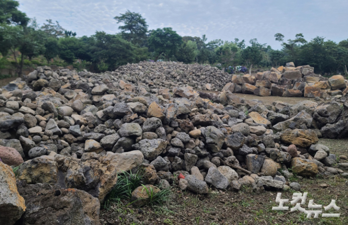 2023년 7월 취재진이 살펴본 서귀포시 유명 관광지 불법 산림훼손 현장. 이창준 기자