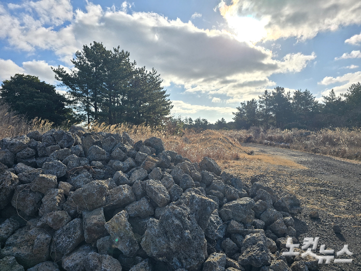 지난 3일 살펴본 도내 한 농어촌관광휴양단지 공사현장. 경영 악화 등을 이유로 공사가 중단된 상태. 이창준 기자