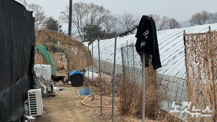 이주노동자의 옷이 걸린 불법 비닐하우스 숙소 옆 풍경. 김수진 기자