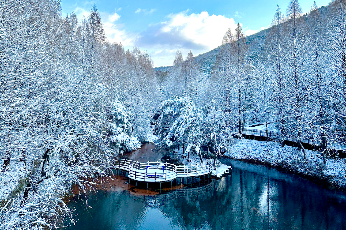 미동산수목원. 충북도 제공