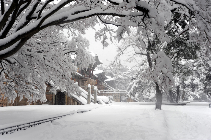 불국사. 경주시 제공